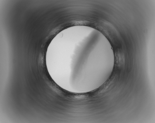 X0000115090357200911241218