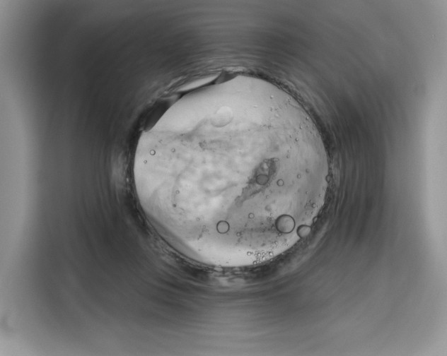 X0000115090359200911241218