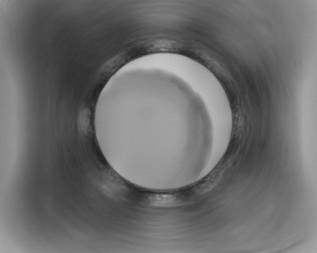 X0000115090361200911241218