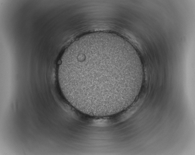 X0000115090362200911241218