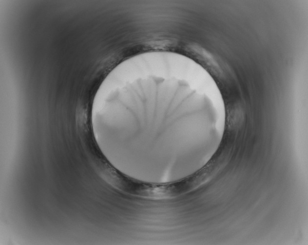X0000115090365200911241218