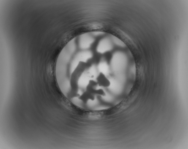 X0000115090373200911241218