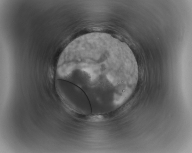 X0000115090374200911241218