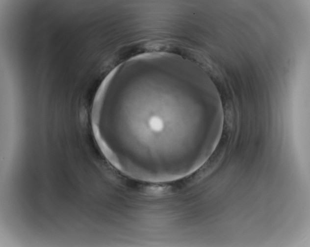 X0000115090375200911241218