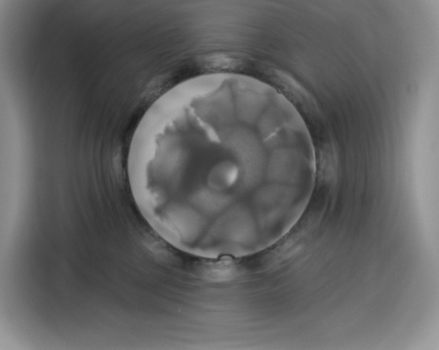 X0000115090377200911241218