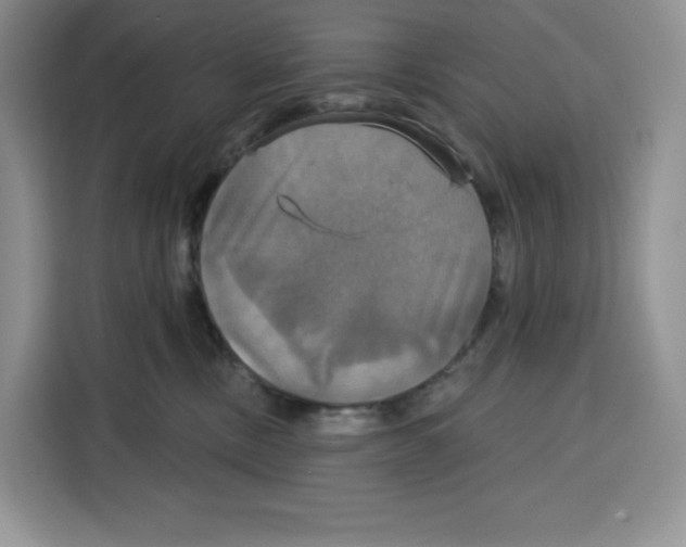 X0000115090378200911241218
