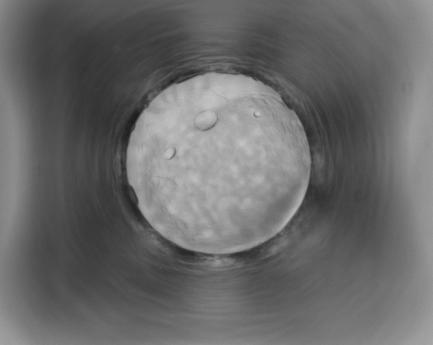 X0000115090379200911241218