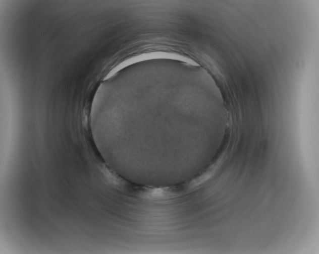 X0000115090382200911241218