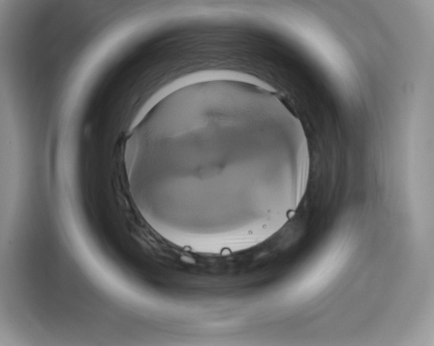 X0000115090383200911241218