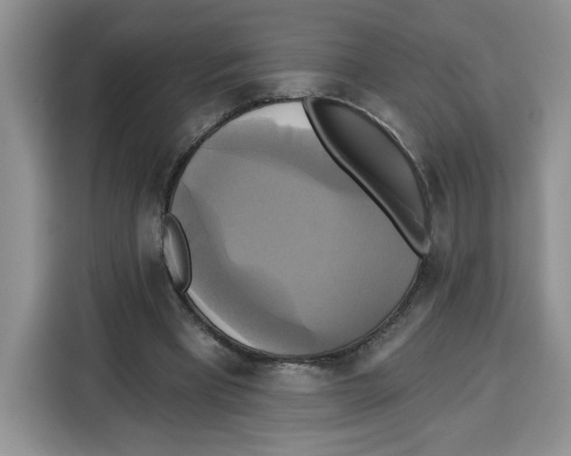 X0000115090393200911241217