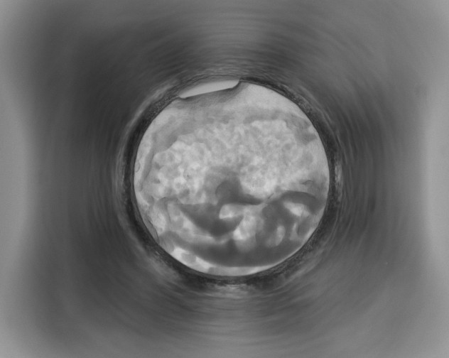 X0000115090396200911241217