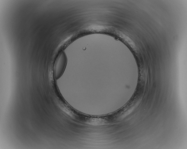 X0000115090399200911241217