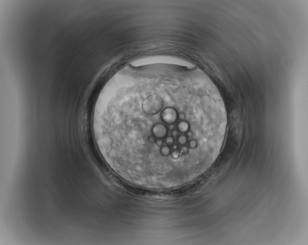X0000115090400200911241217