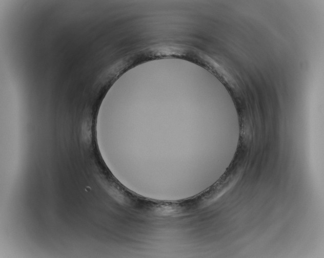 X0000115090402200911241217