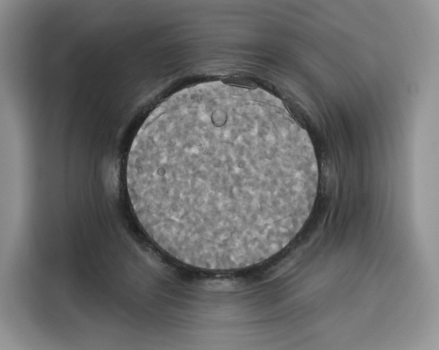 X0000115090404200911241217