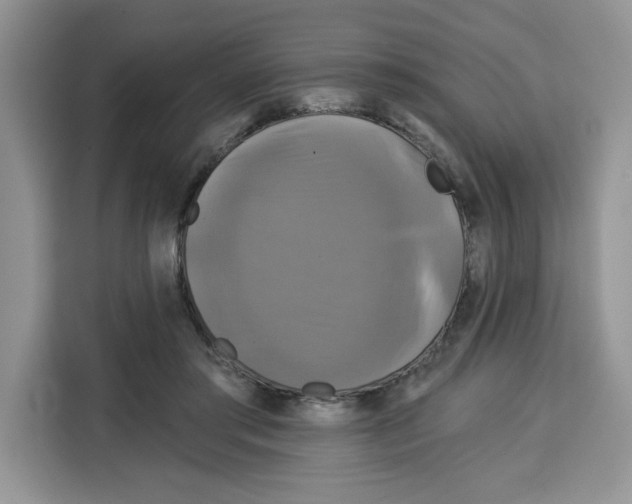 X0000115090405200911241217
