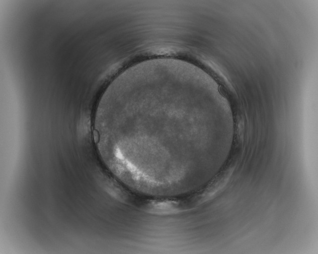 X0000115090407200911241217