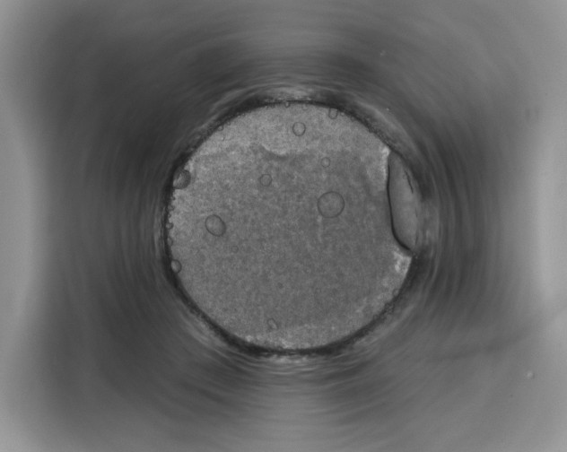 X0000115090409200911241217