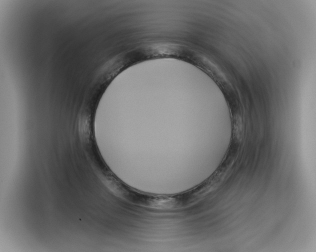 X0000115090410200911241217