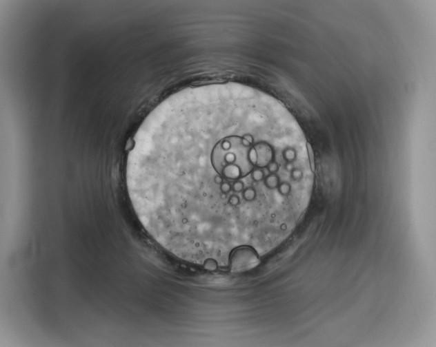 X0000115090412200911241217