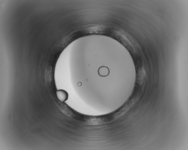 X0000115090413200911241217