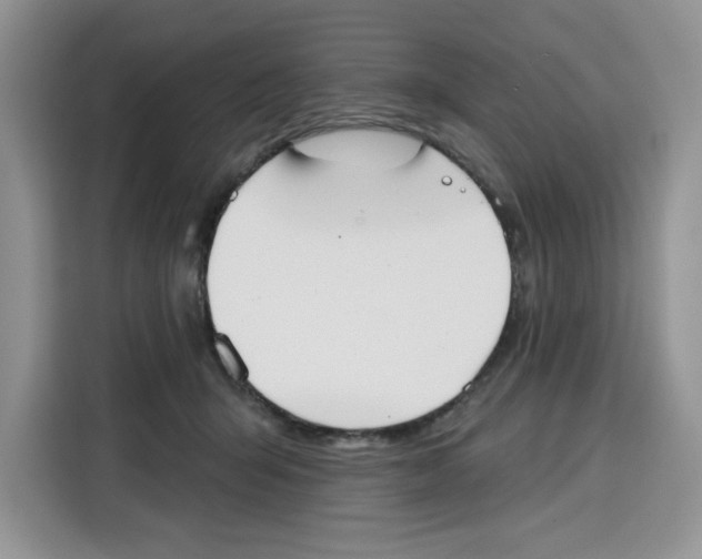 X0000115090415200911241217