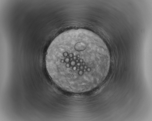 X0000115090416200911241217