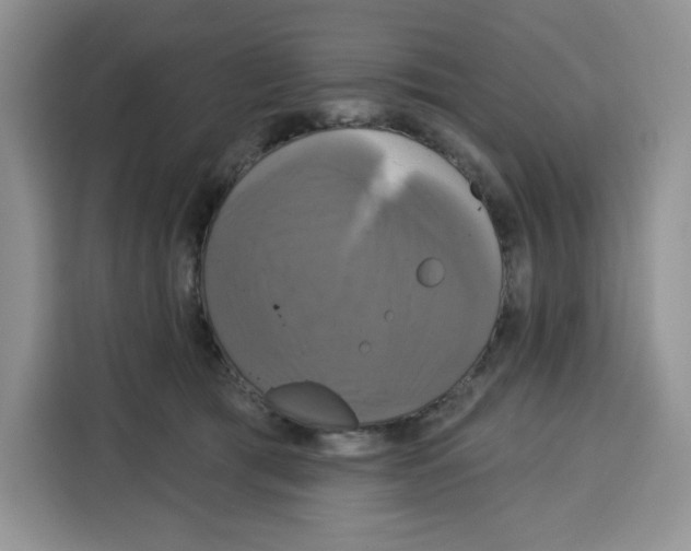 X0000115090417200911241217