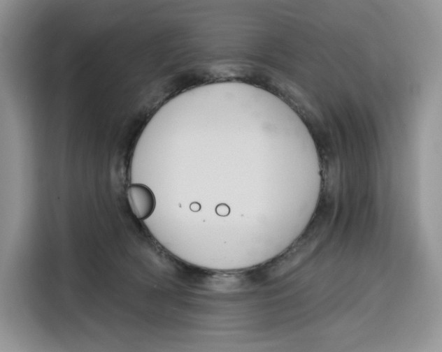 X0000115090418200911241217