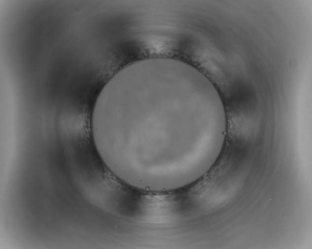 X0000115090419200911241217