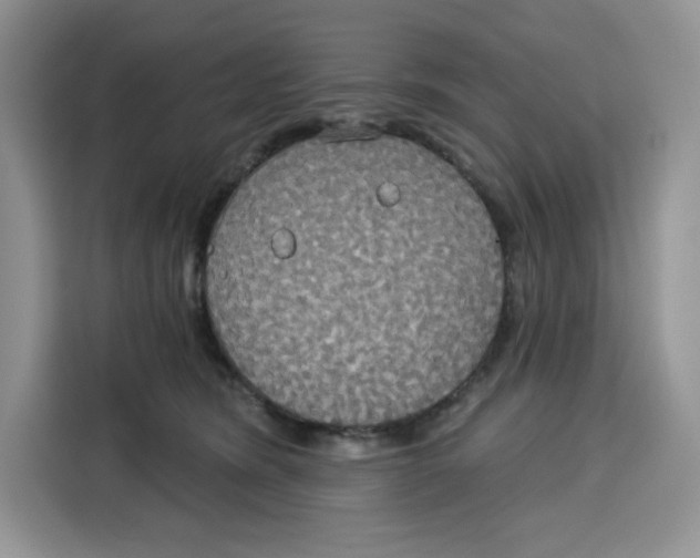 X0000115090420200911241217