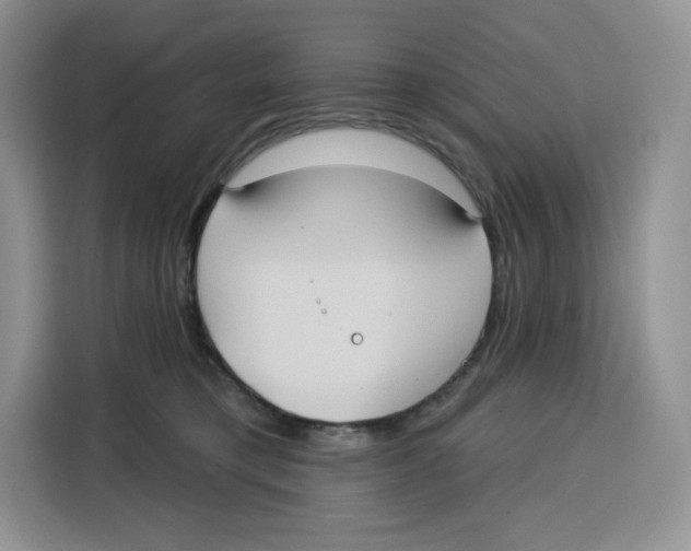 X0000115090421200911241217