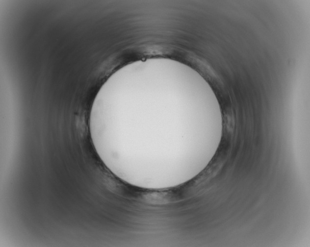 X0000115090422200911241217