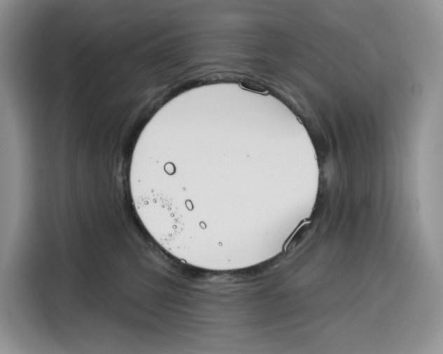 X0000115090423200911241217