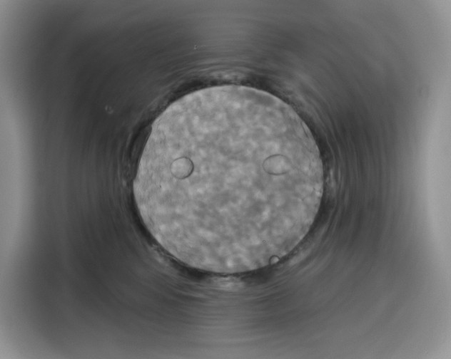 X0000115090424200911241217