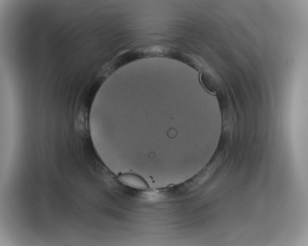 X0000115090425200911241217