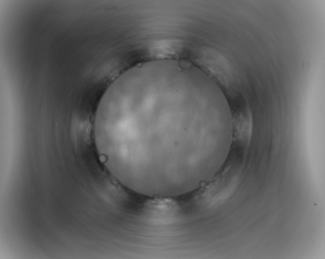 X0000115090427200911241217