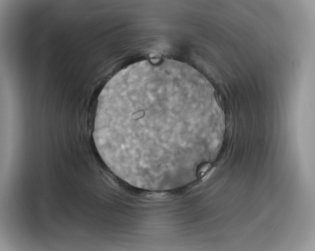 X0000115090428200911241217