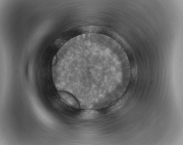X0000115090429200911241217