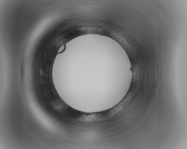 X0000115090430200911241217