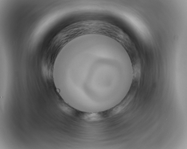 X0000115090431200911241217