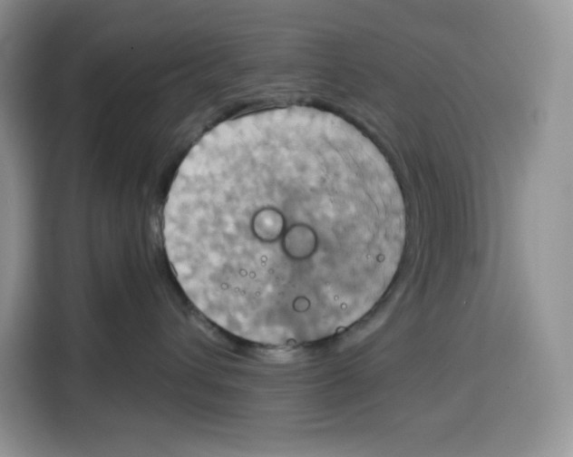 X0000115090432200911241217
