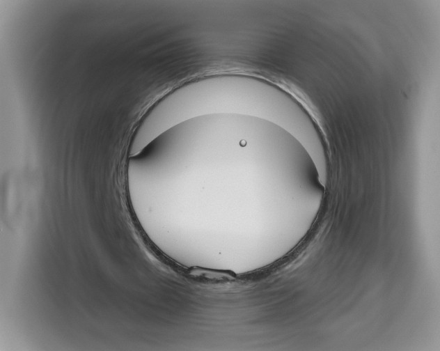 X0000115090433200911241216