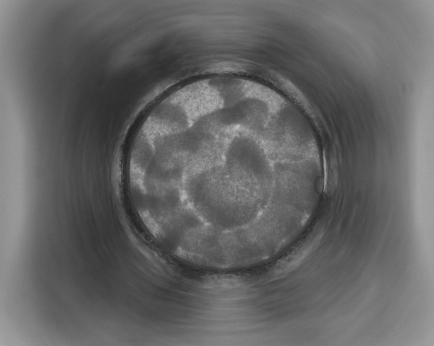 X0000115090435200911241216