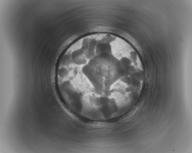 X0000115090437200911241216