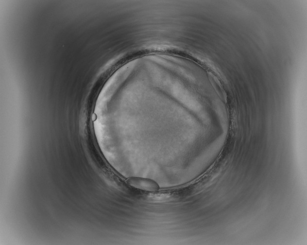 X0000115090440200911241216