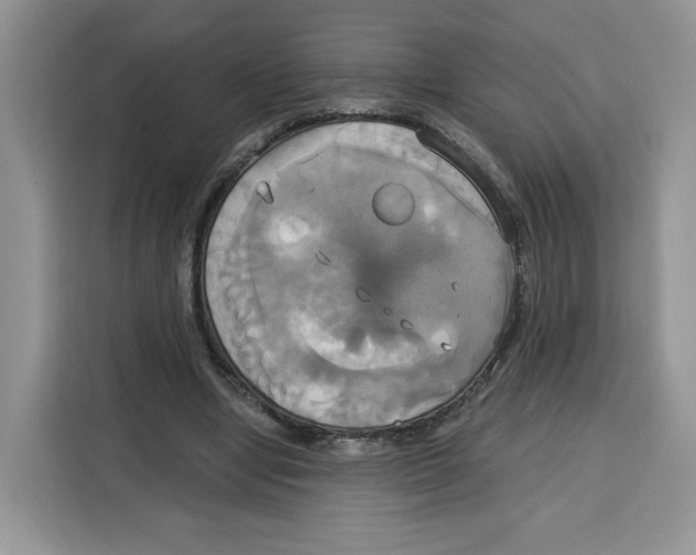 X0000115090442200911241216
