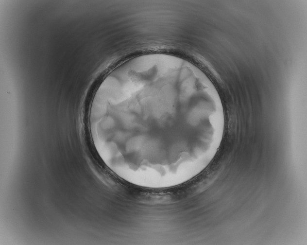 X0000115090443200911241216