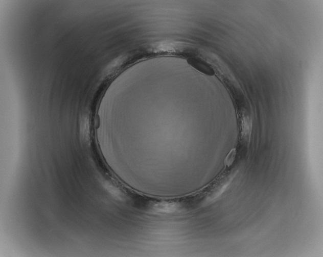 X0000115090444200911241216