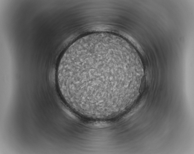 X0000115090445200911241216